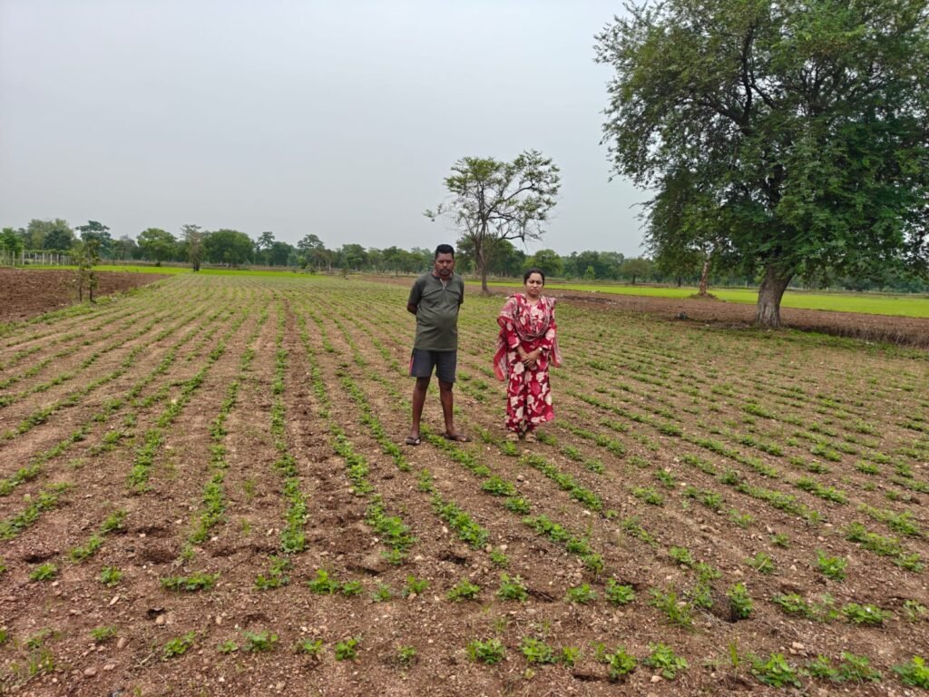 सफलता की कहानी: धान से मूंगफली की ओर बढ़े महासमुंद के किसान, बढ़ी आमदनी की उम्मीद 1002241129