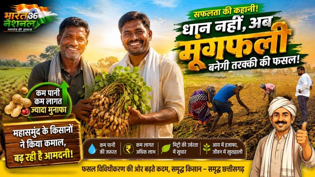 सफलता की कहानी: धान से मूंगफली की ओर बढ़े महासमुंद के किसान, बढ़ी आमदनी की उम्मीद addtext 07 18 08.53.42